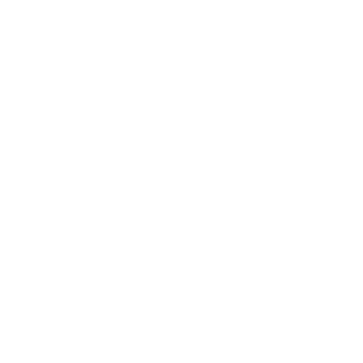 Discord icon